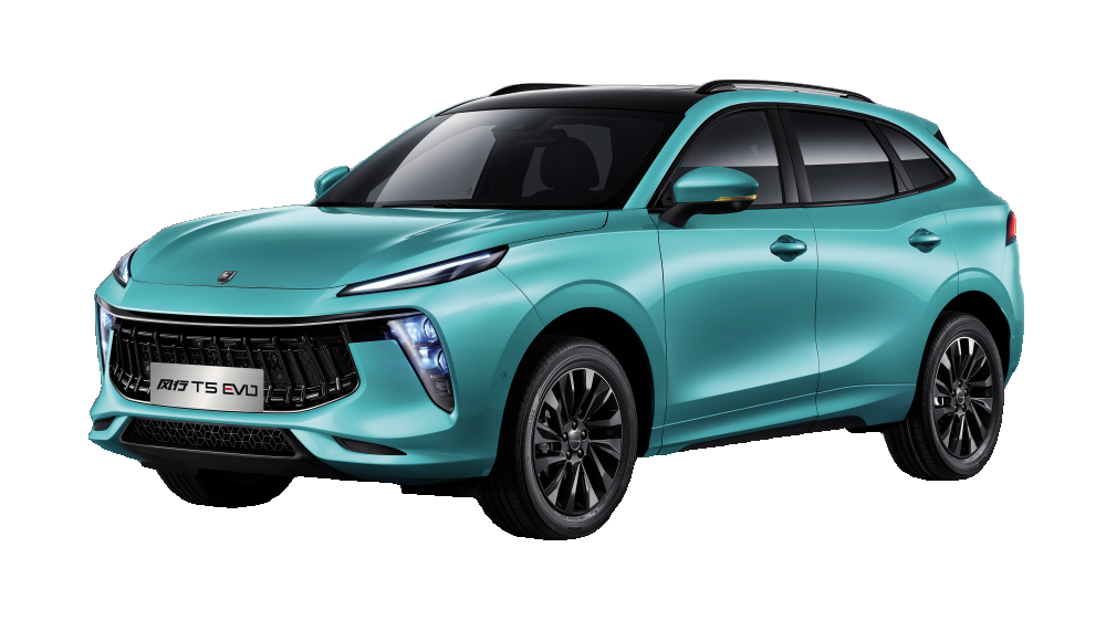 Ridarra Elektrikli Pickup Araçlar